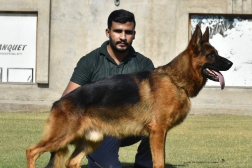 Holger vom Haus Licher