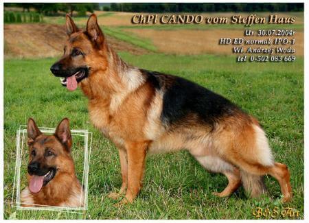 Cando vom Steffen Haus