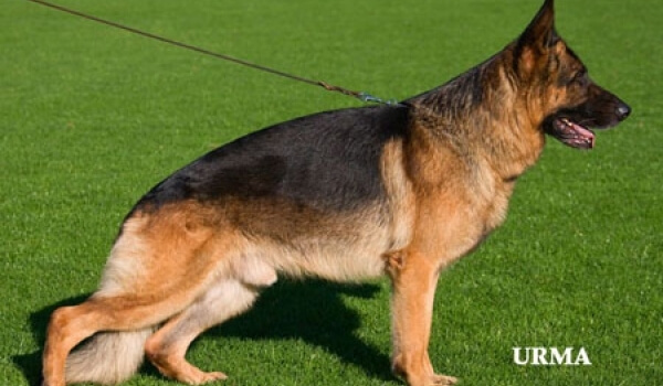 Ilbo vom Holtkämper See