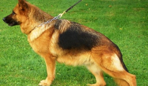 Liss von der Marker Allee