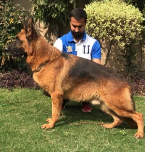 Guru von der Piste Trophe