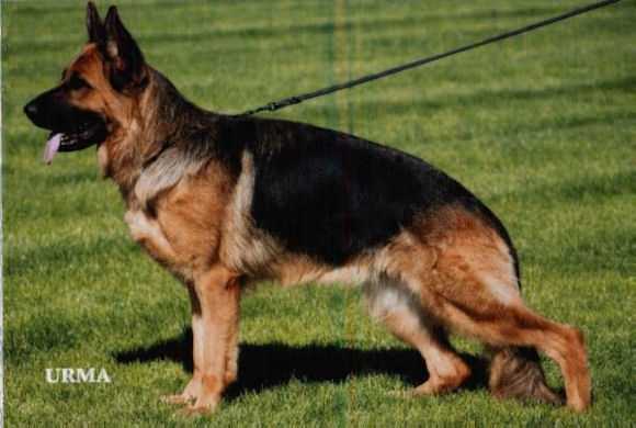 Wanja von der Wasserkuppe