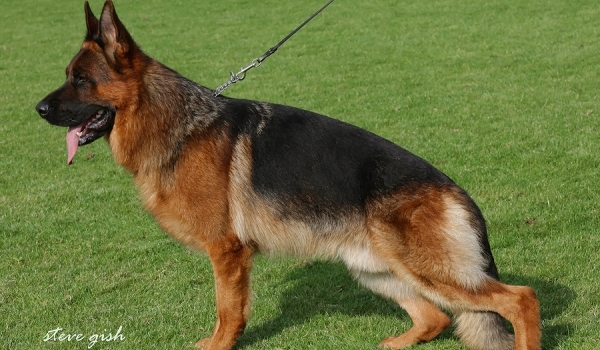 Willas vom Grafenbrunn