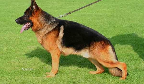 Quandro van Barendika