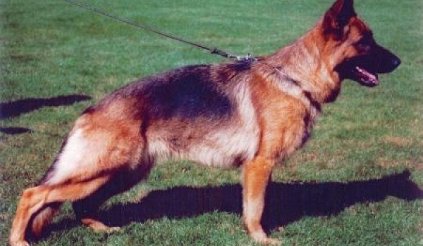 Dolli von der Werther-Mühle