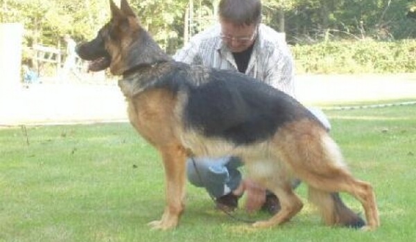 Queeny von der Malchower Aue