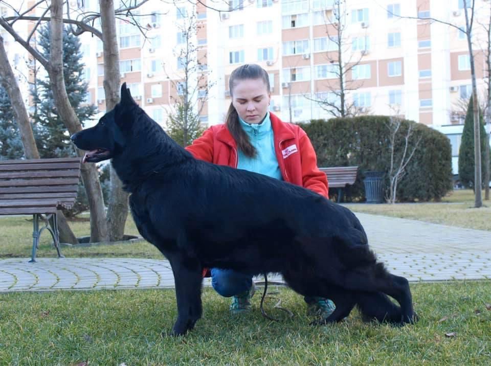 Zilber Wasserfal Exotica