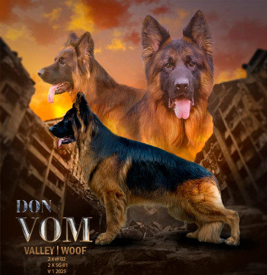 Don vom Vally Woof