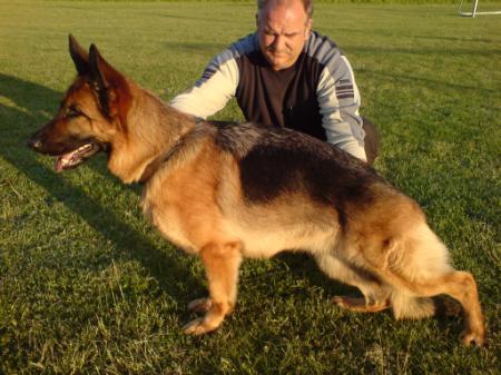 Danjali vom Holtkamper See