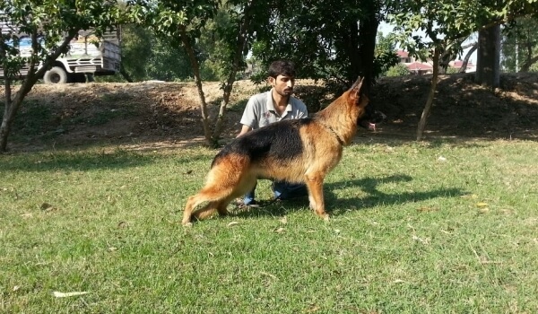 Beauty vom Victory