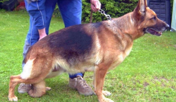 Perle vom Naturpark-Altmühltal